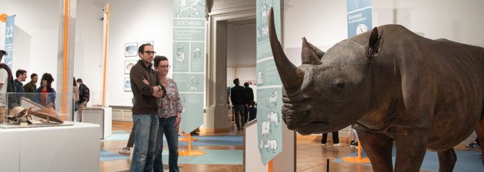 Visiteurs regardant un rhinocéros taxidermisé Naturéum 2024_G. Lechevallier Visiteurs regardant un rhinocéros taxidermisé Naturéum 2024_G. Lechevallier